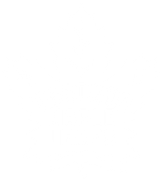 Toronto Maple Leafs